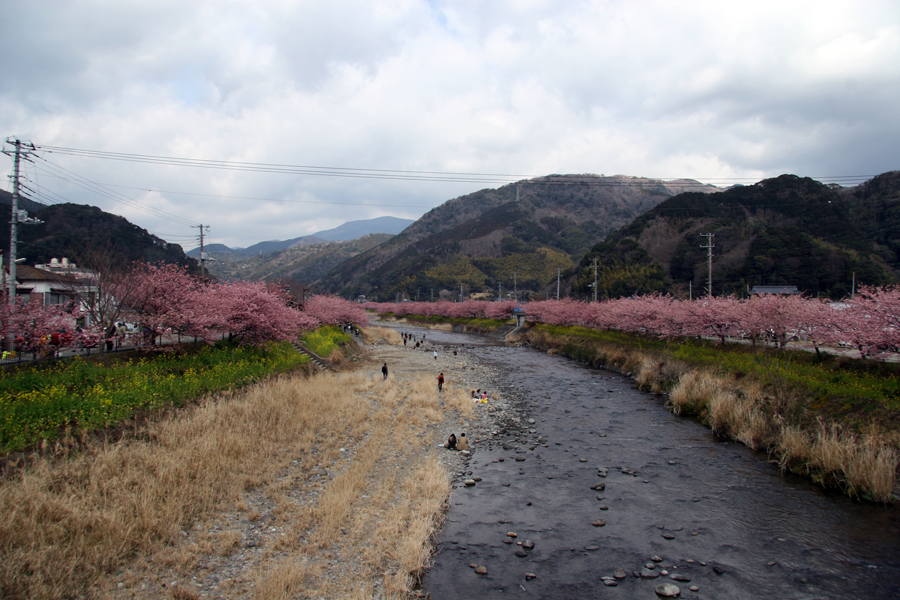 20080302_izu_hikaru058.JPG