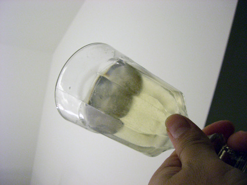 20090808_234124.jpg