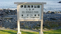 海洋公園ダイビングリベンジ