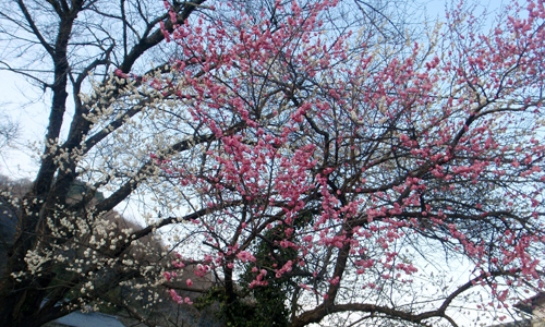 20100228_164500.jpg