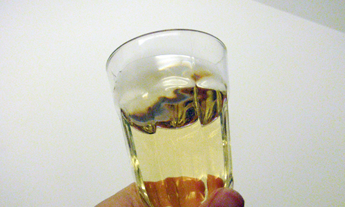 20100413_022924.jpg