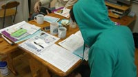 ダイビングライセンス取得3〜学科・試験篇〜