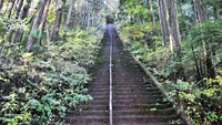 御岳山・大岳山・鋸山・牛角